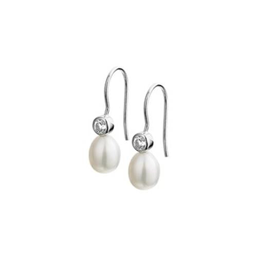 Zilver Oorhanger Par