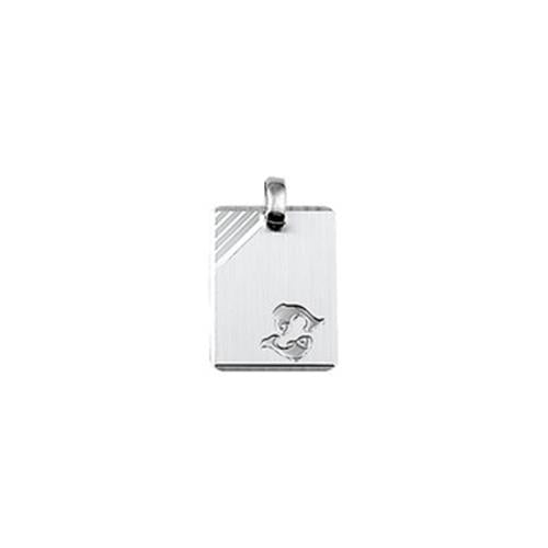Zilver Graveer. Vis