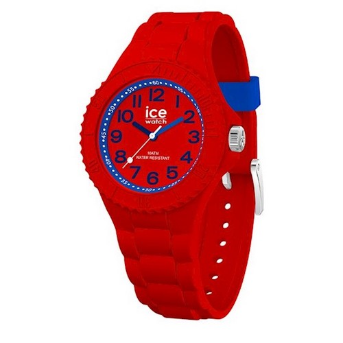 ICE WATCH
