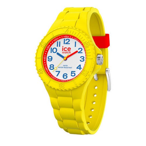 ICE WATCH