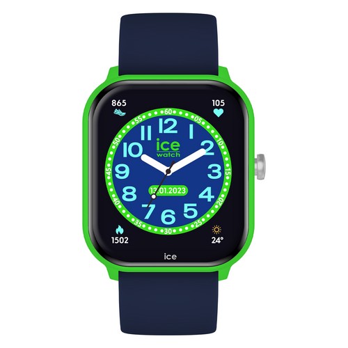 ICE WATCH