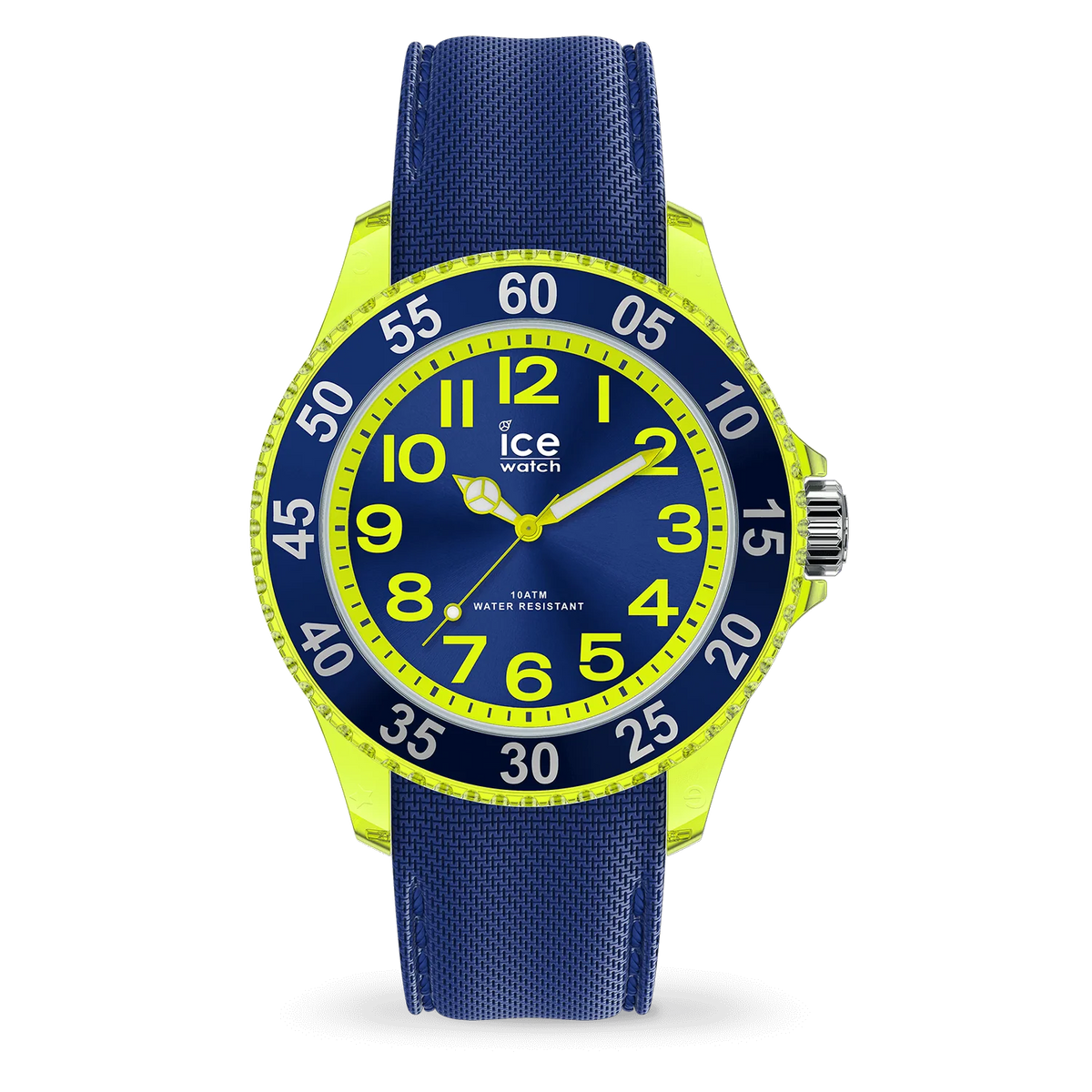 ICE WATCH