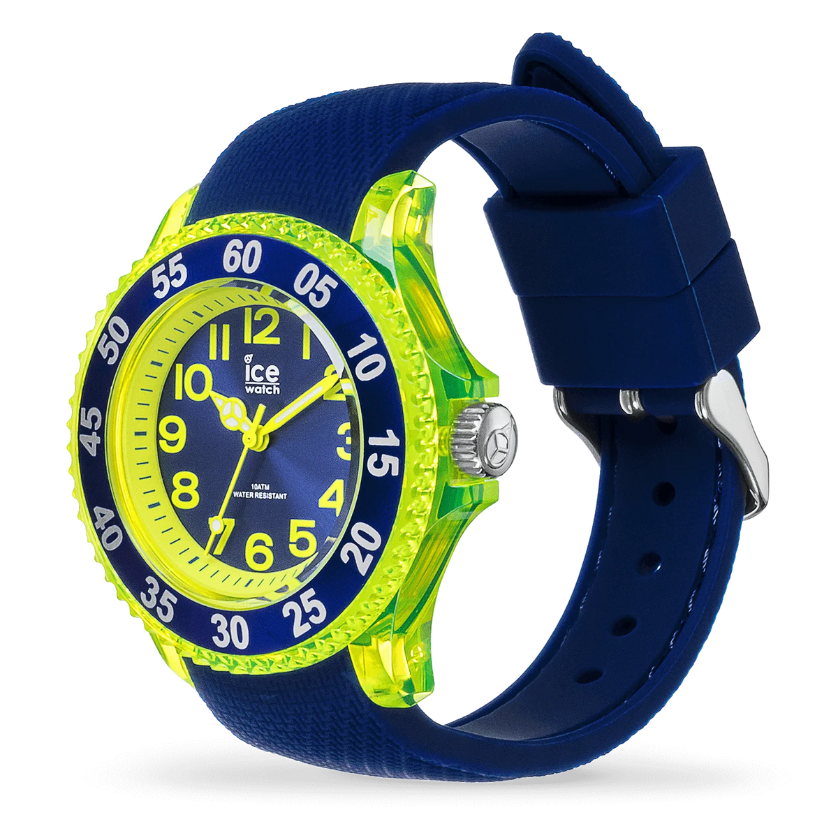 ICE WATCH