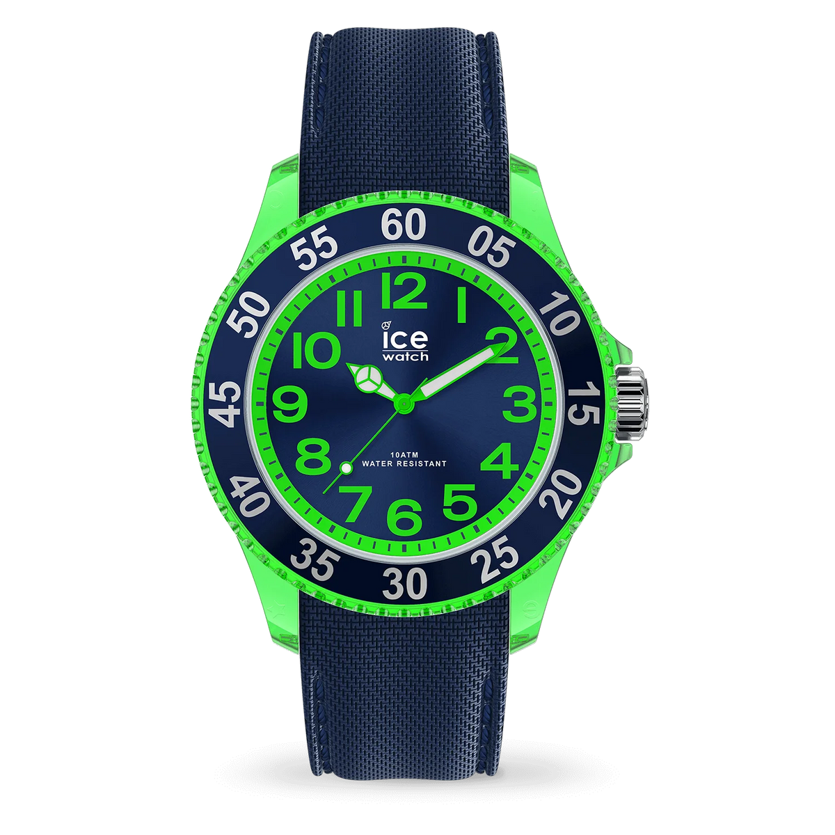 ICE WATCH