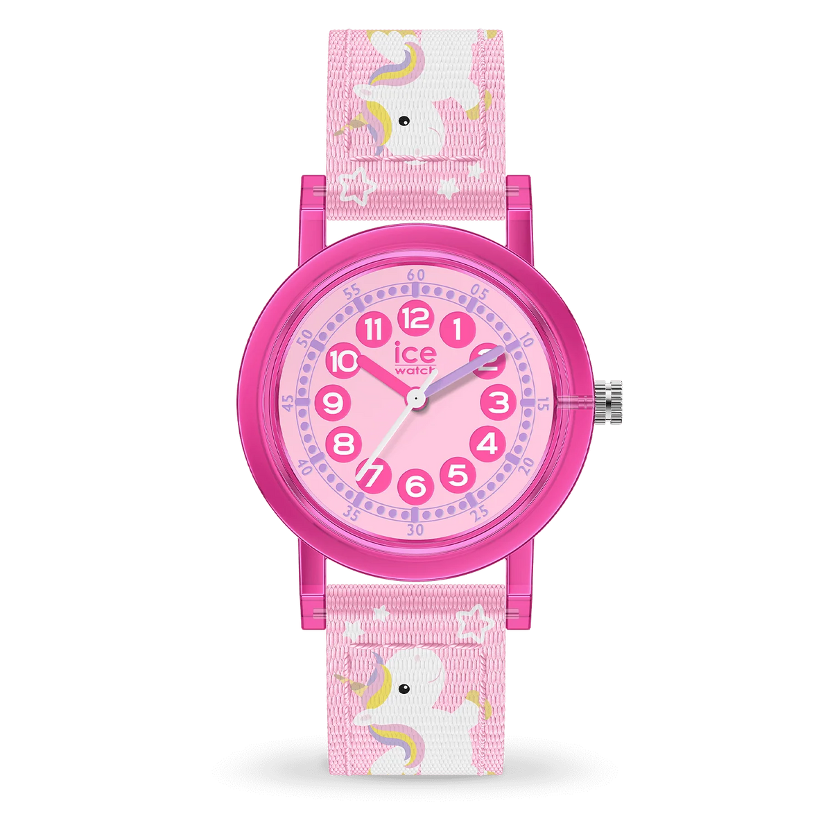 ICE WATCH