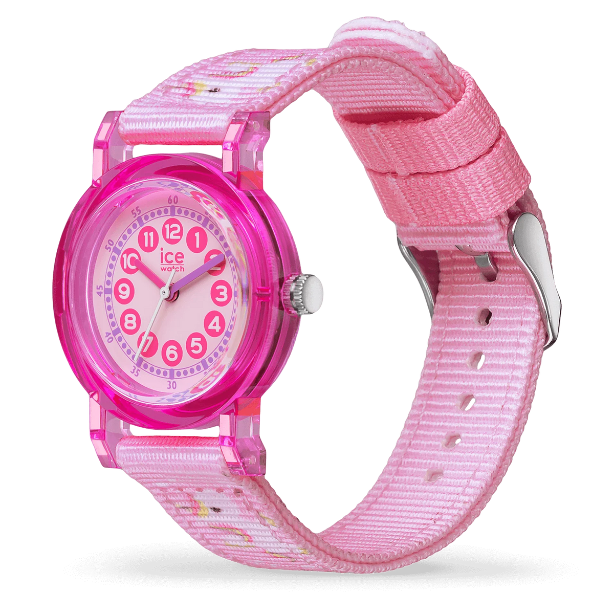 ICE WATCH