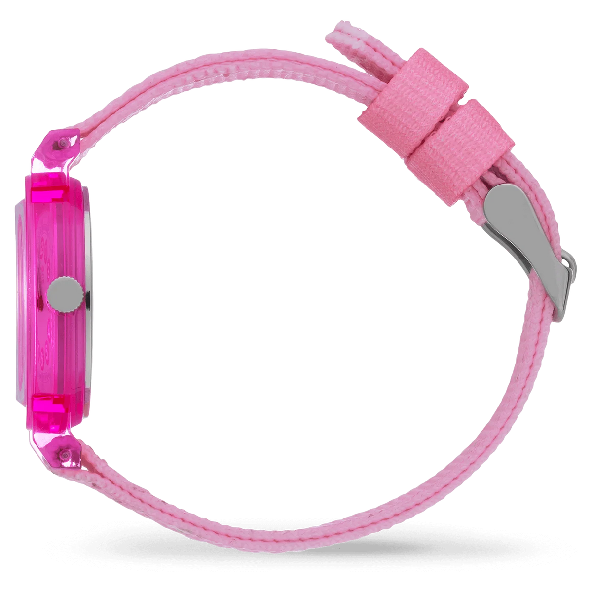 ICE WATCH