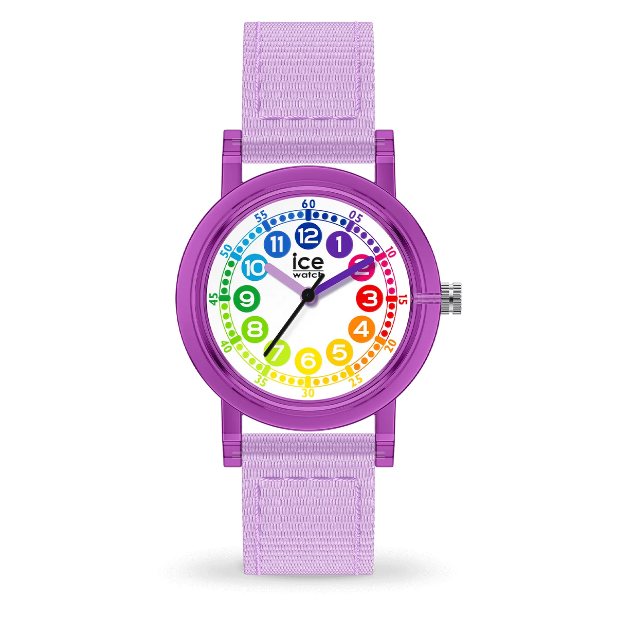 ICE WATCH