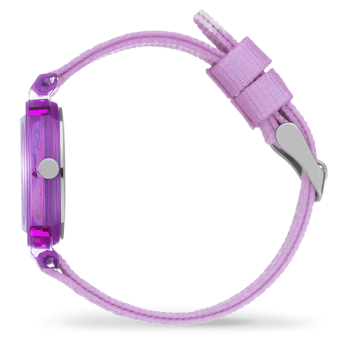 ICE WATCH