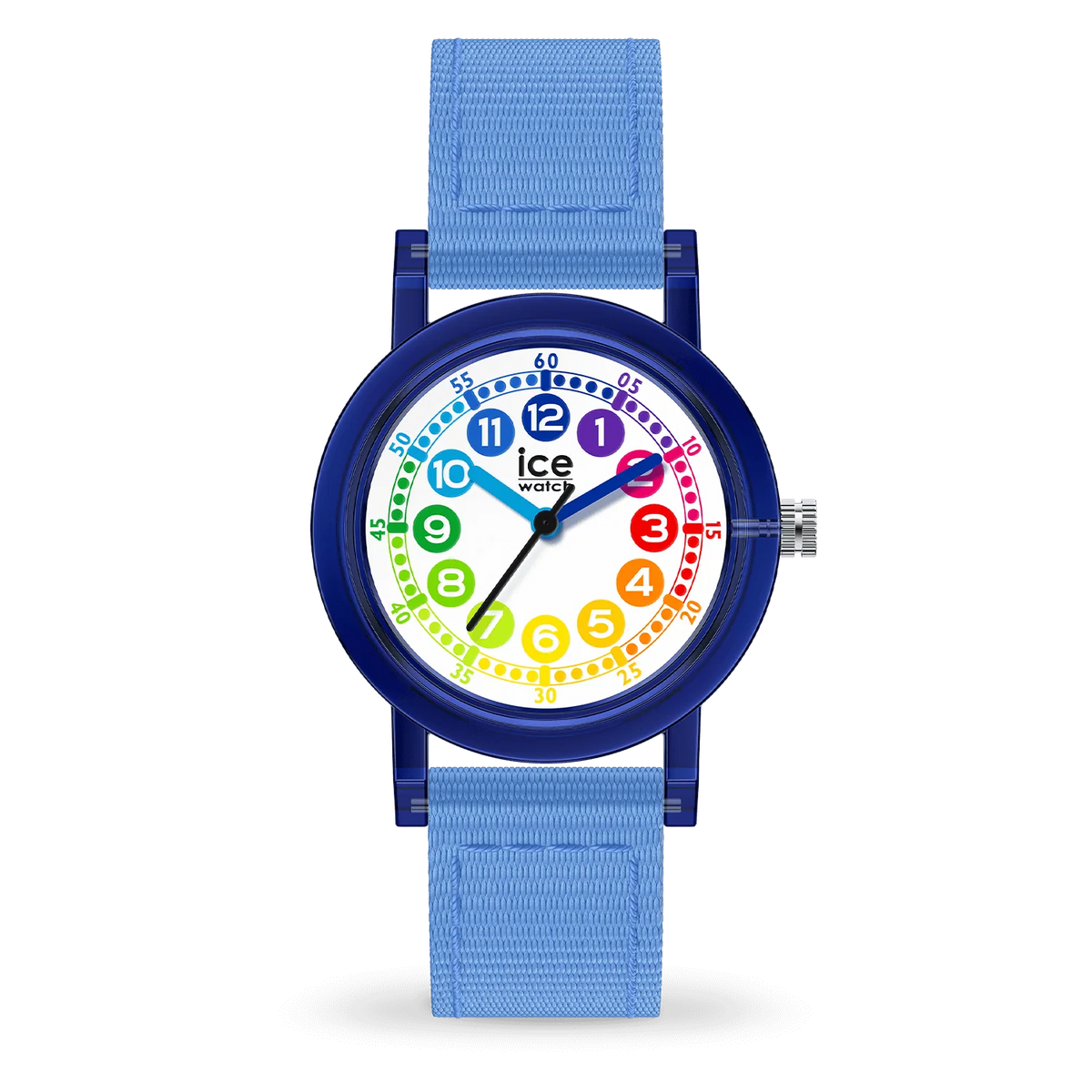ICE WATCH