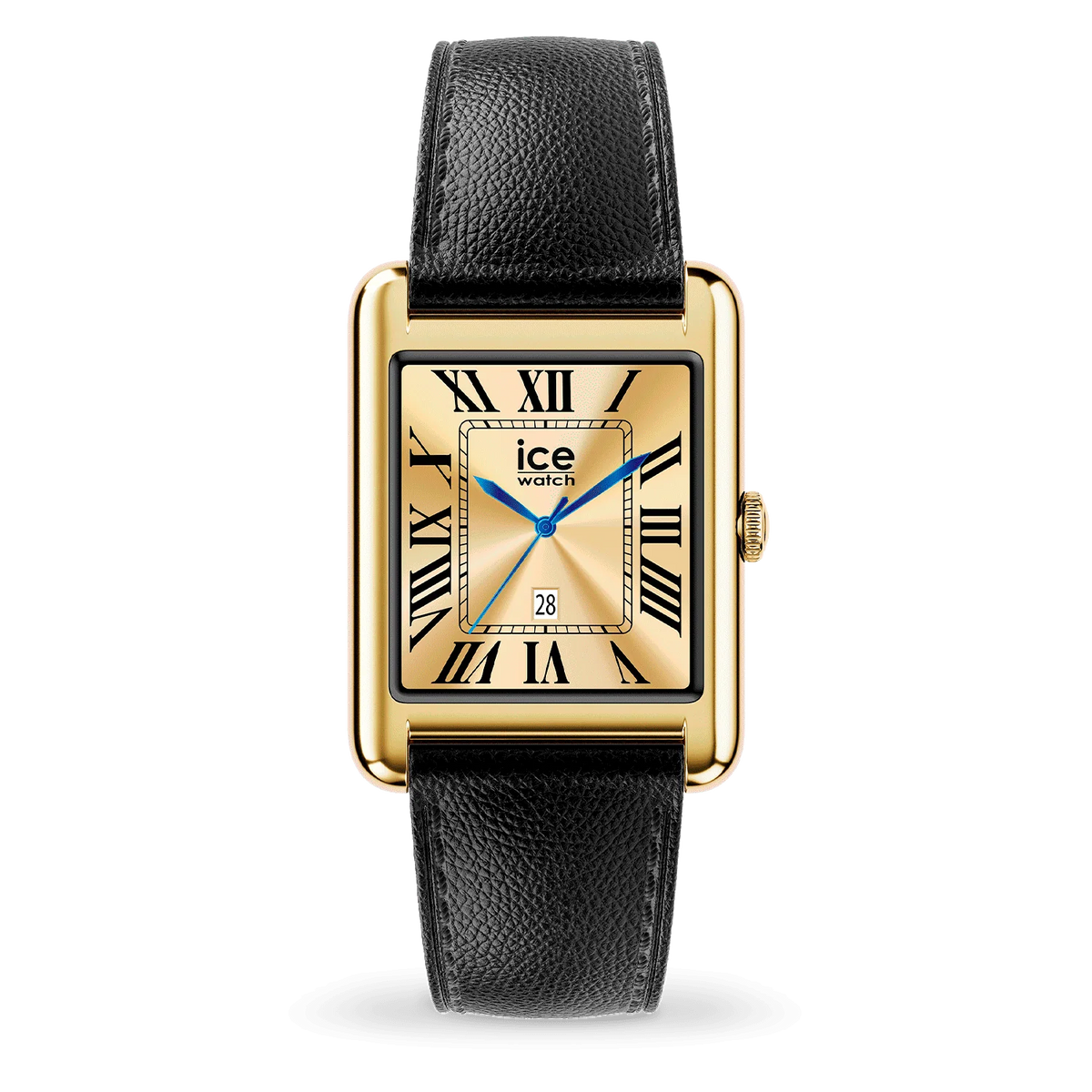 ICE WATCH