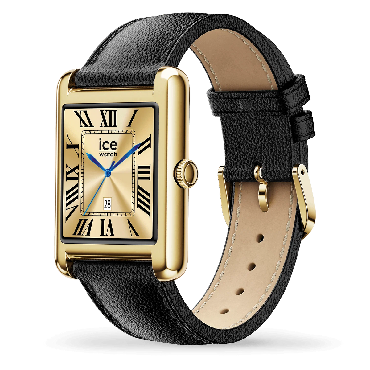 ICE WATCH