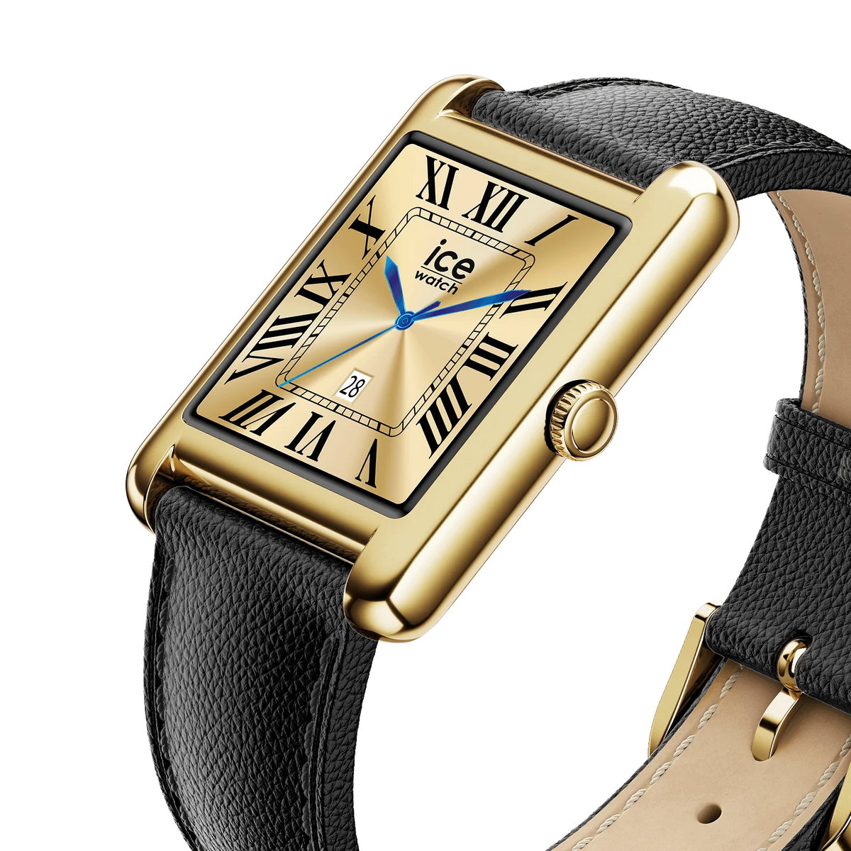 ICE WATCH