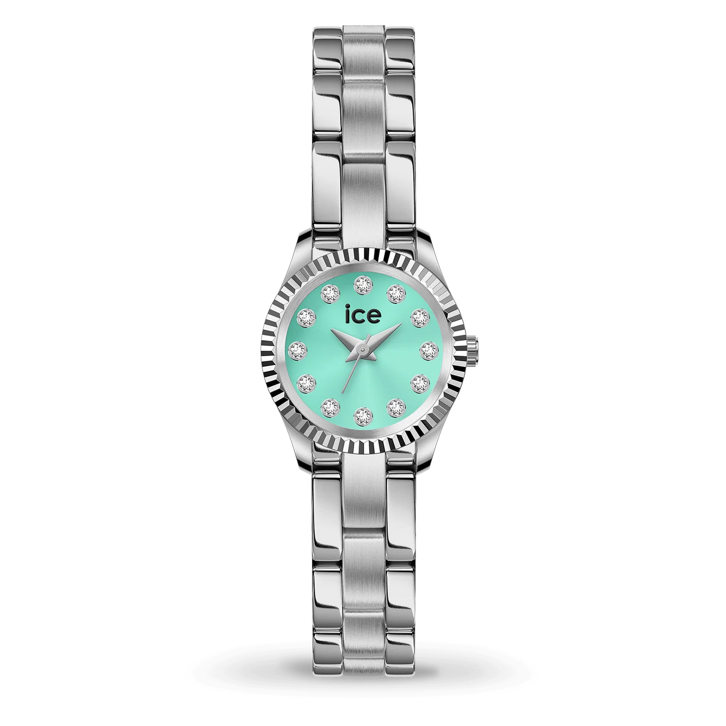 ICE WATCH