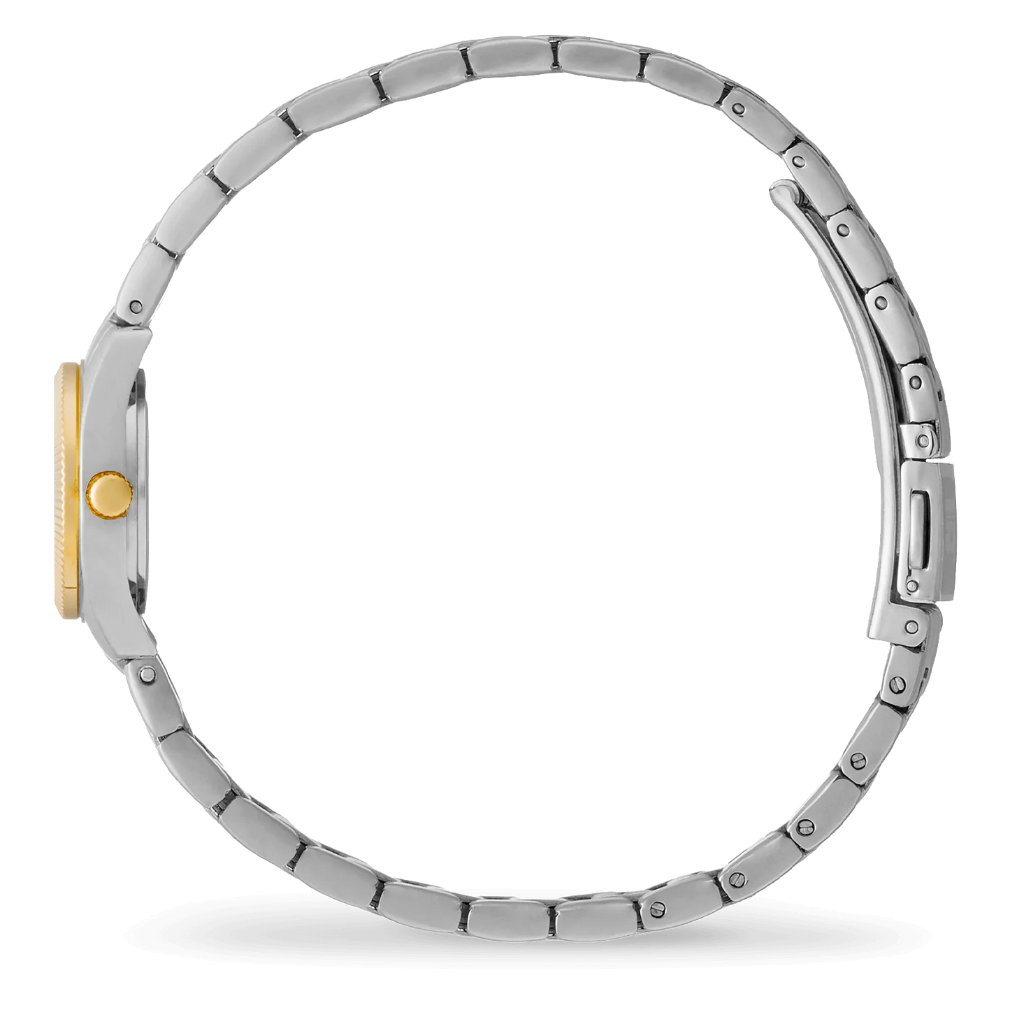 ICE WATCH