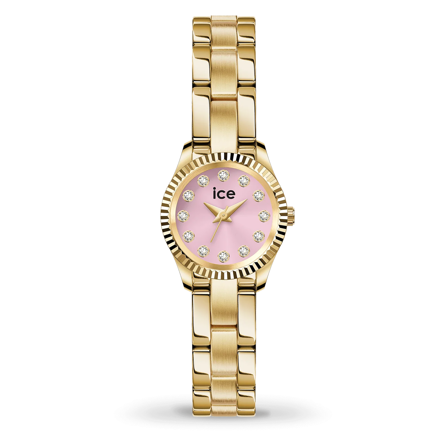 ICE WATCH