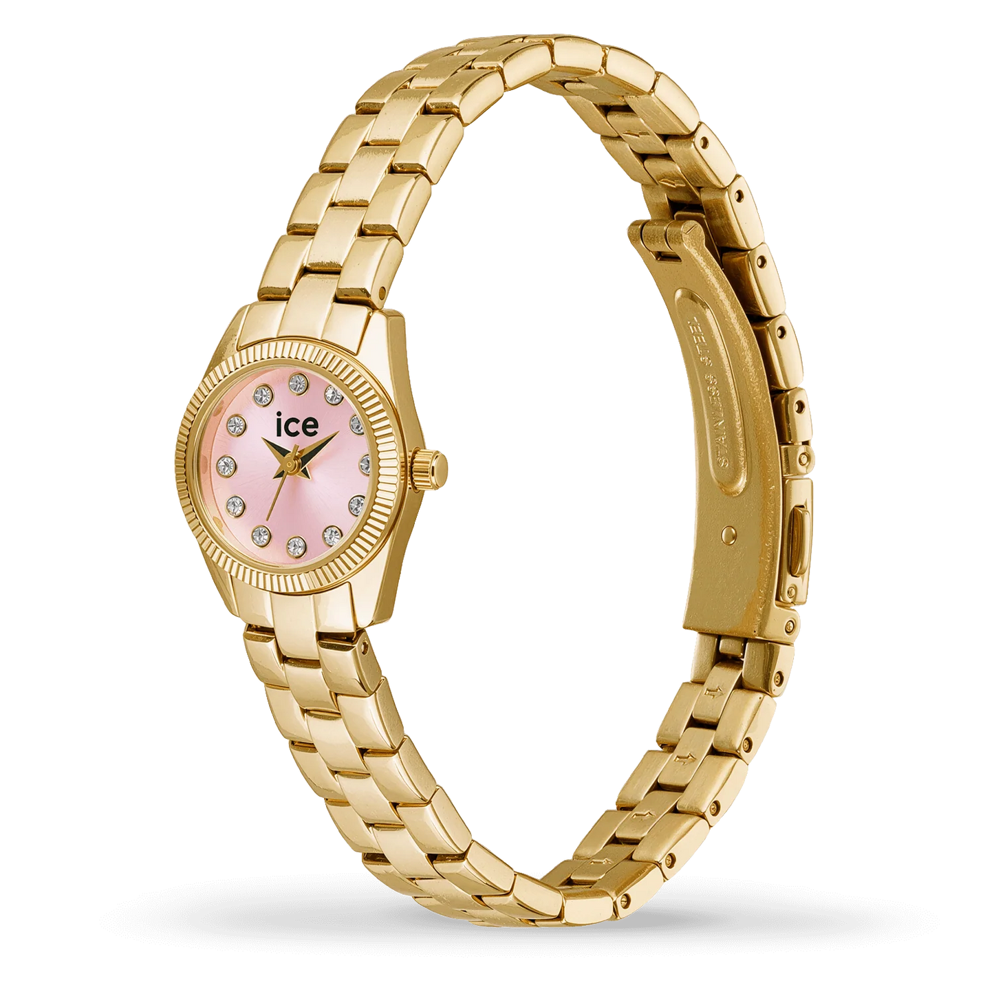 ICE WATCH