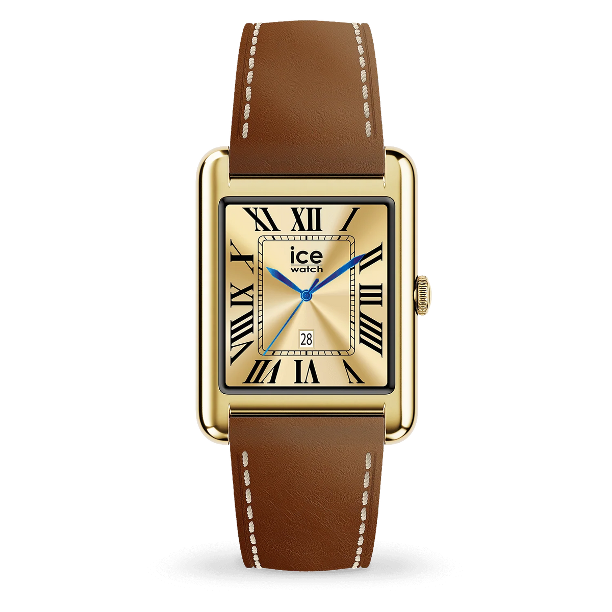 ICE WATCH