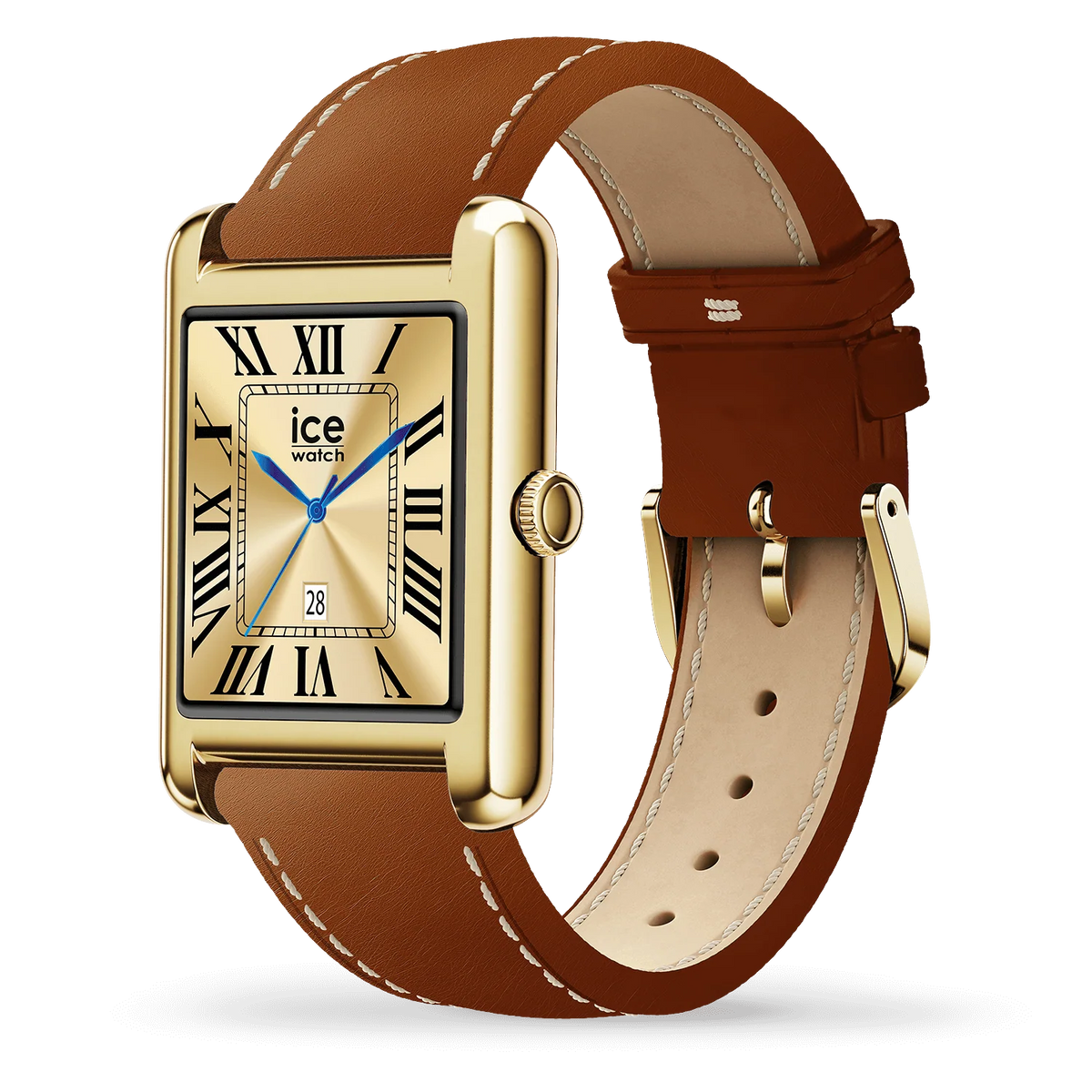ICE WATCH